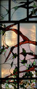 Sl Firpo Design/Craft